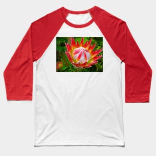 King Protea, South Africa Baseball T-Shirt